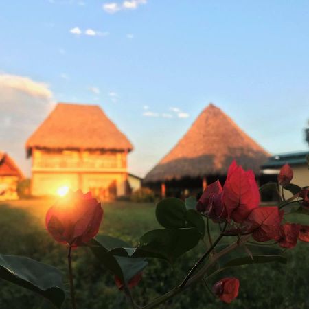 Las Palmeras Beach Hotel Aposentillo Екстериор снимка